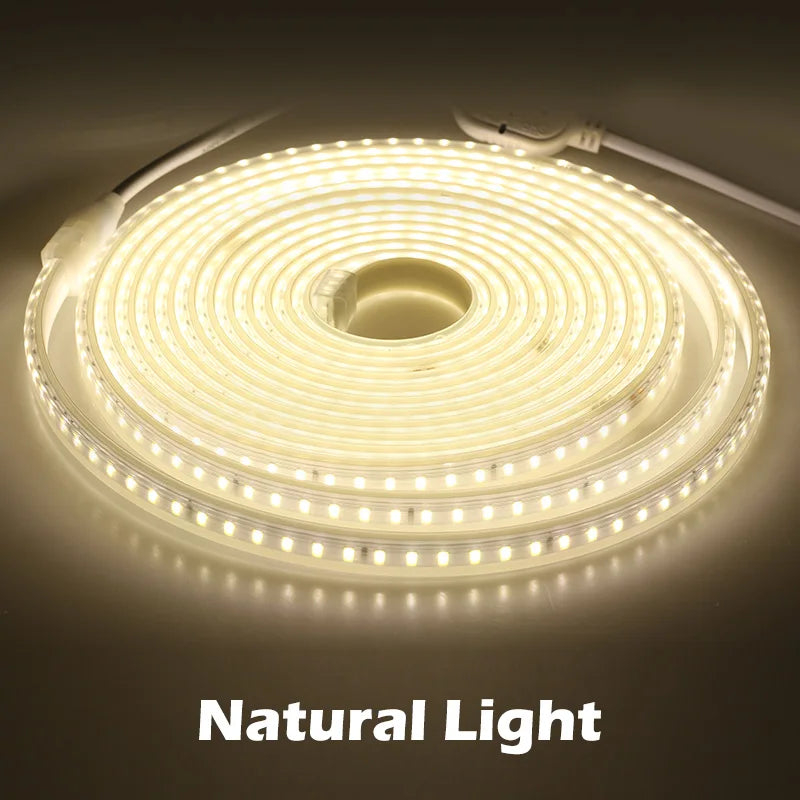 New Arrival 220V LED Strip 4040 High Safety High Brightness 120LEDs/m 13W/m Waterproof Flexible LED Light The Best LED Strip.