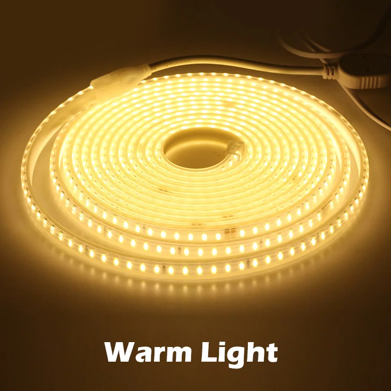 New Arrival 220V LED Strip 4040 High Safety High Brightness 120LEDs/m 13W/m Waterproof Flexible LED Light The Best LED Strip.