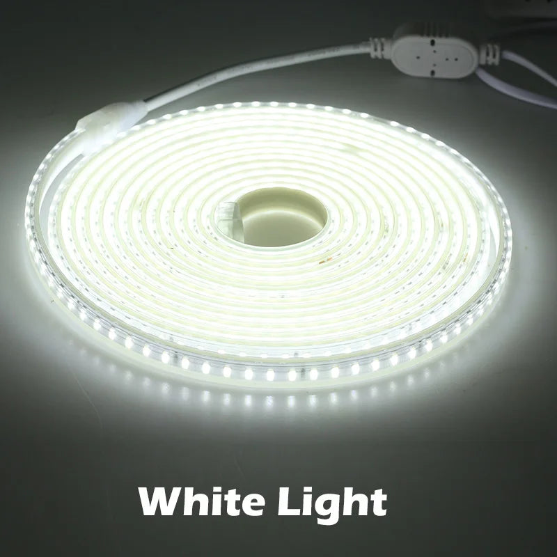 New Arrival 220V LED Strip 4040 High Safety High Brightness 120LEDs/m 13W/m Waterproof Flexible LED Light The Best LED Strip.